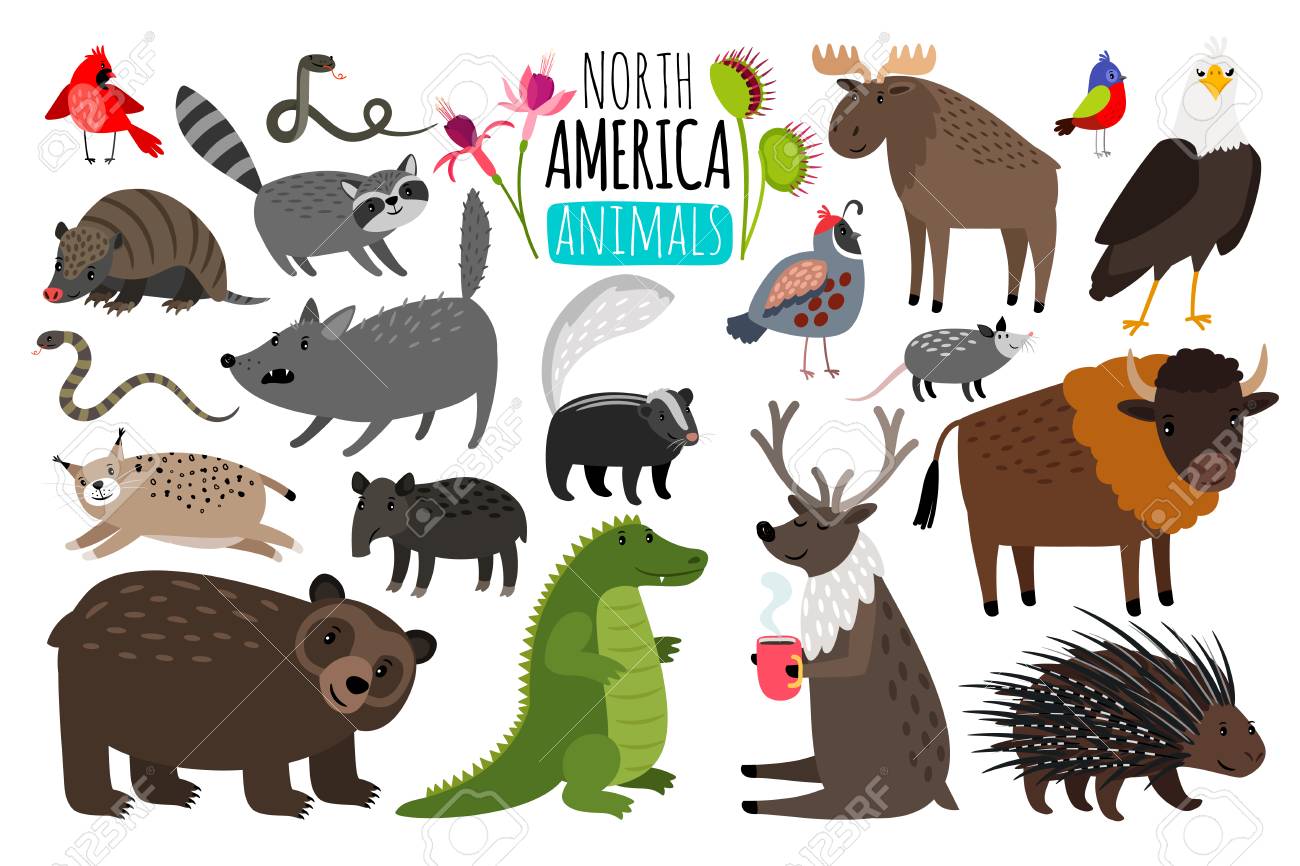 17 Hewan Asli Asal Amerika Termanis untuk Kalian